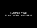 Summer wind frank sinatra cover by anthony labarbera