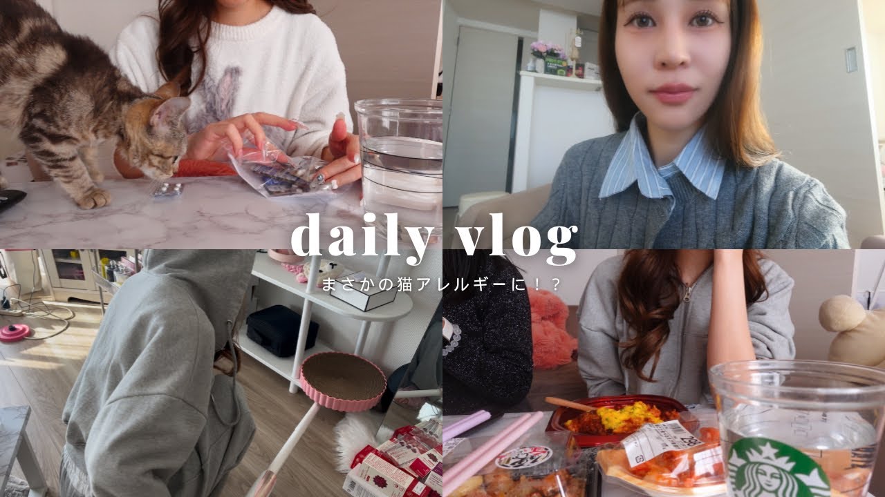 猫アレルギー氏 hqdefault.jpg