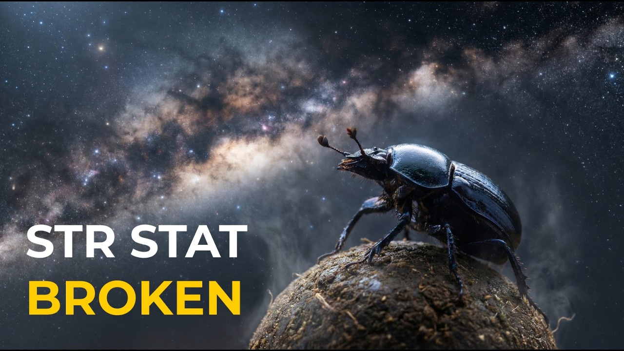 The Dung Beetle: The Strongest Player (Trash Main)