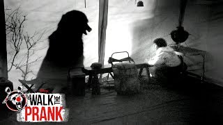 Beware the Bear | Walk the Prank | Disney XD