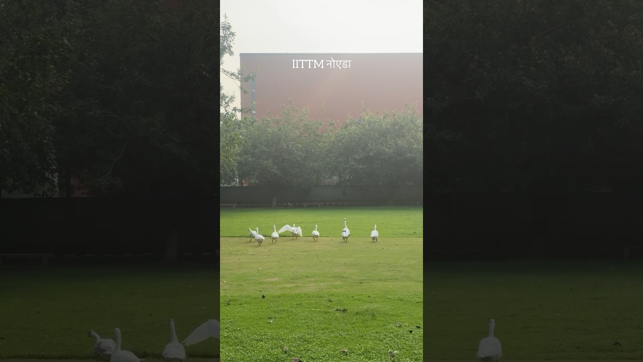 IITTM नोएडा Campus 