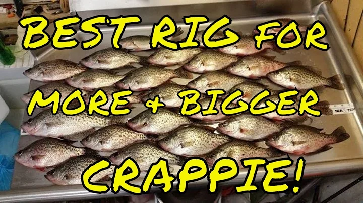 UPDATED Crappie Killer Rig - For HUGE SLABS!