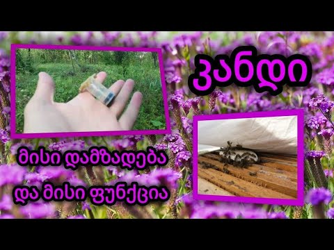 კანდი... მისი დამზადება და ფუნქცია....