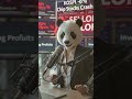 Asian Stocks Fall as Chip Stocks Crash 🚨