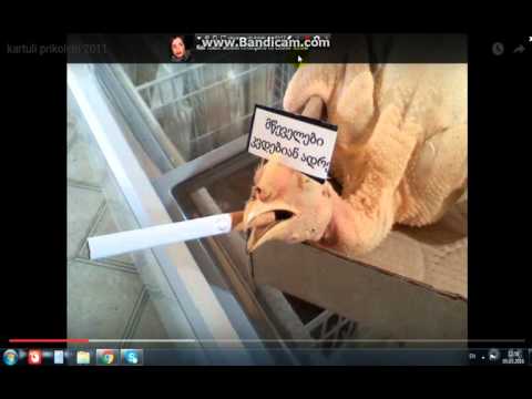 სასაცილო სურათები-უყურეთ (all)