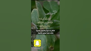 علمتني سورة الكهف(2)