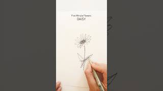 draw a daisy in five minutes! #flowerart #drawing #howtodraw