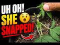 I Accidentally Snapped My Auto at Day 24 | Day 28 Recovery Update — EP4