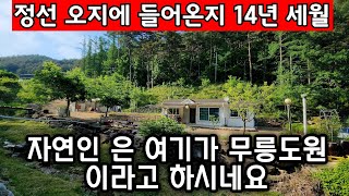 정선 오지에 들어온지 14년 세월이 흘렀다 자연인 은 여기가 무릉도원 이라고 하네요