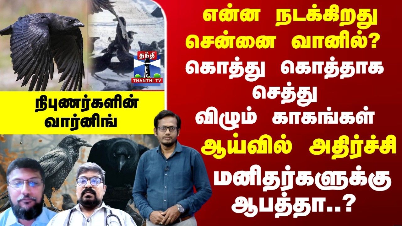 Special Report | சென்னையில் கொத்து கொத்தாக செத்து விழும் காகங்கள்.. மனிதர்களுக்கு ஆபத்தா..?