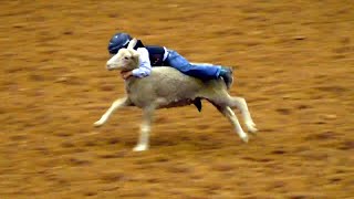 Mutton Bustin'  - 2019 (32nd) Coors Cowboy Club Ranch Rodeo (Saturday)