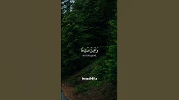 فَخَلَفَ مِن بَعْدِهِمْ خَلْفٌ أَضَاعُوا الصَّلَاةَ (سورة مريم) القارئ الشيخ وديع اليمني