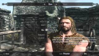 Skyrim -A First Look-
