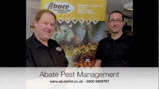 Abate Pest Management and Black Widow Spiders