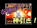【神引き注意!】魔神祭50連 まさかの事態...!【君の目的はボクを殺すこと3 Part36.8】
