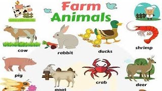 Form Animals|Learn For Animals Names in English| Kids Vocabulary| English Educational