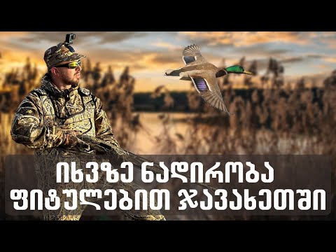 ფიტულებით იხვზე ნადირობა ჯავახეთში