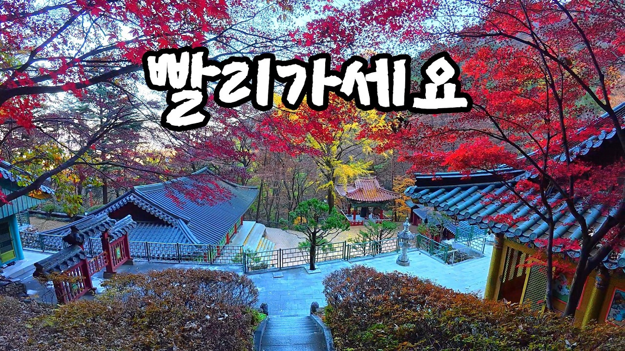 천길 낭떠러지 바위난간을 아슬아슬 걸어서 만나게 되는 외국같은 천하절경