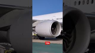 Engine Startup. Amazing Wing