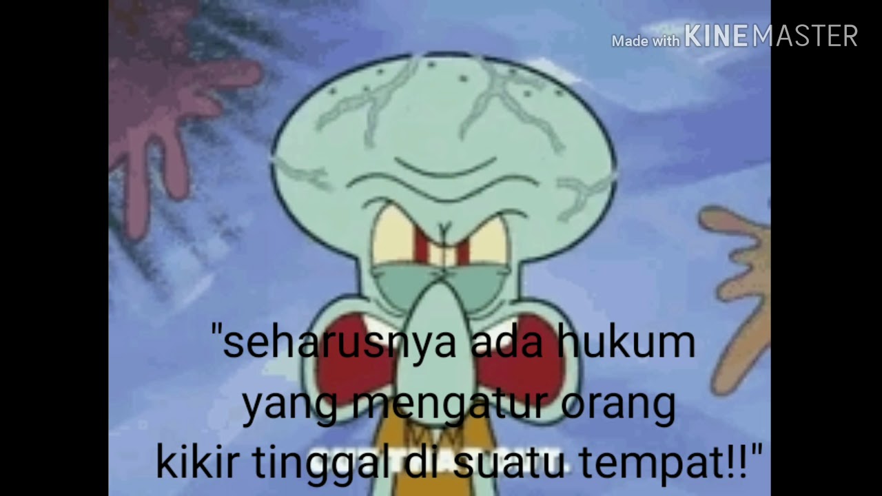  Kata  bijak Squidward  YouTube