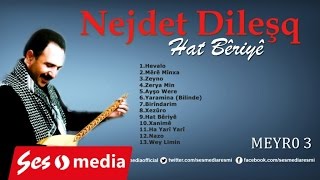 Nejdet Dileşq - Brîndarim