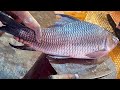 Big Rohu Fish Cleaning &amp; Cutting By Expert Fish Cutter | Amazing Cutting Skills Bangladesh