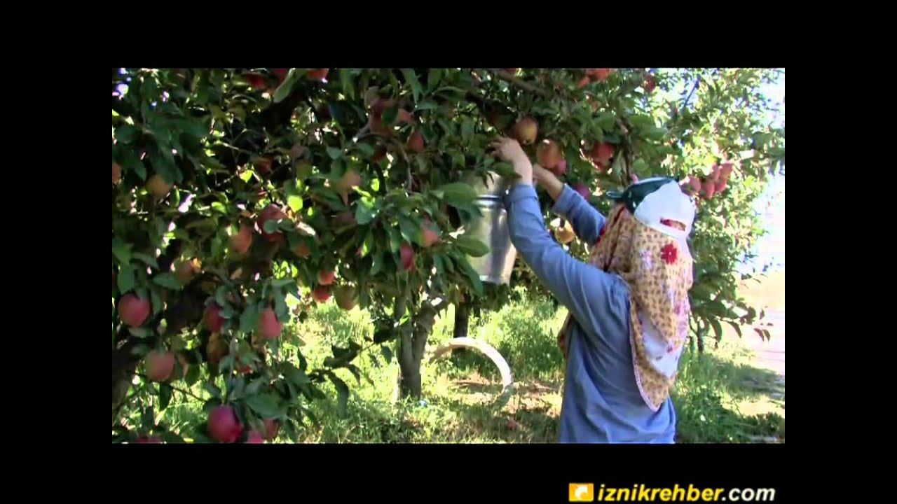 Elbeyli / Uluçınar Elbeyli - İznik