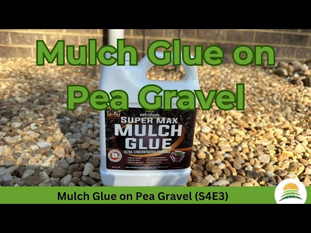 PetraTools SuperMax Mulch Glue, Mulch Binder Glue, Small Gravel Binder,  Landscape Adhesive, and Small Gravel Stabilizer - 1 Gallon