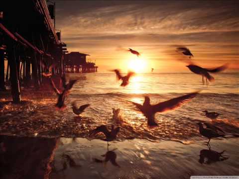 Offshore Wind Roman Messer Feat Ange Suanda Aurosonic Progressive Remix 