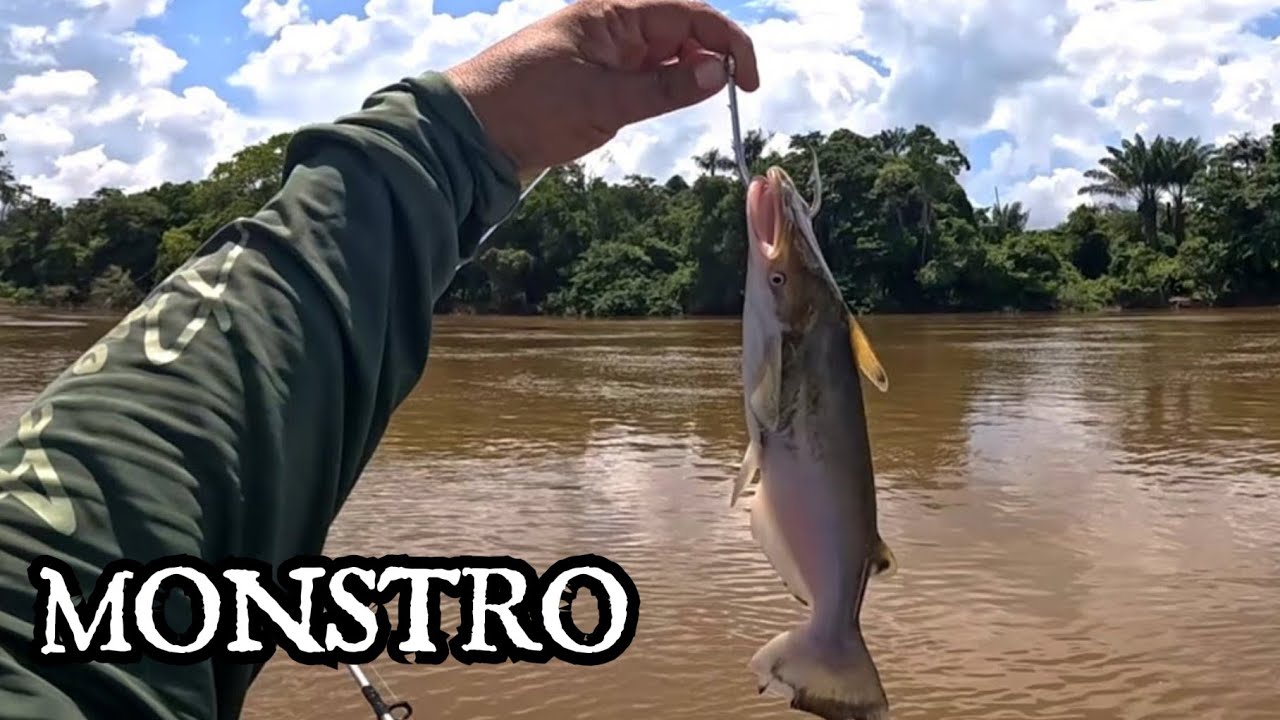 VOCÊ USARIA ISSO COMO ISCA?  Pescaria de peixe de couro em Roraima