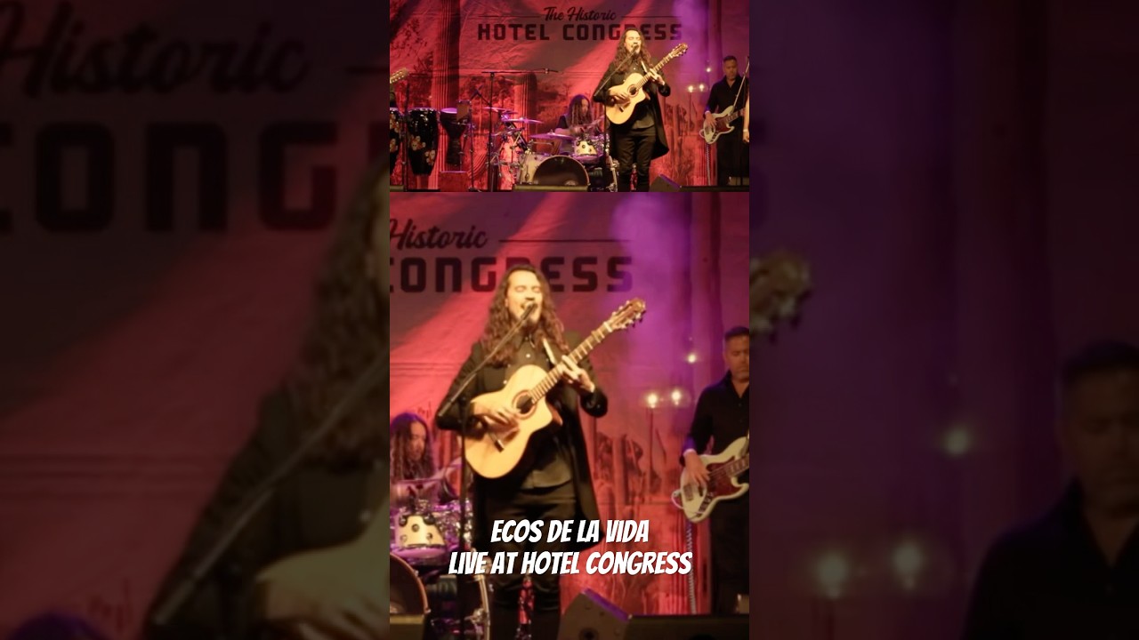 Flamenco fusion live in action 