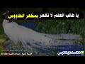 يا طالب العلم لا تظهر بمظهر الطاووس للشيخ عبدالله القصير 