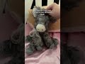 My favorite plushie #handmade #plushie #dolls #donkey #stuffedanimal