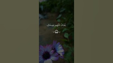 "يا عباد لا خوف عليكم اليوم ولا أنتم تحزنون" الآيات🌿🌿