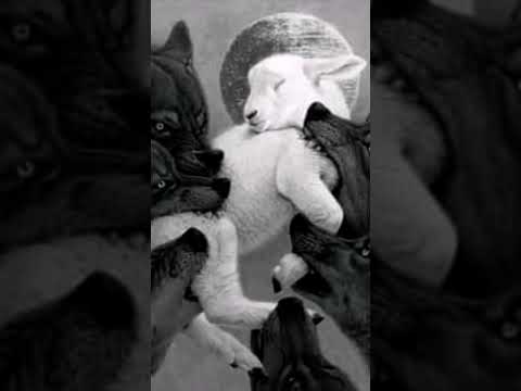 سأرفع قبعتي لصاحب أفضل عنوان
