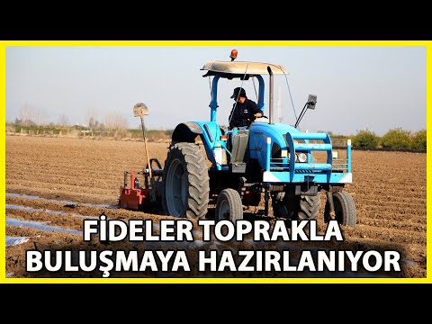 Türkiye’nin Erkenci Karpuzunun Yetiştiği Adana’da Tarlalar Fideler için Hazırlanıyor