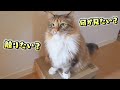 皆さんに聞きたいことがあります!