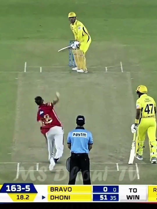 MSD Just Exposed Every Cricketer