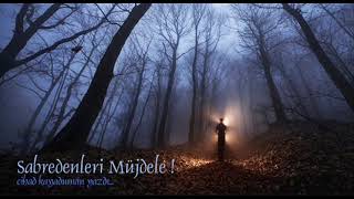 Mustafa Dursun Yollar