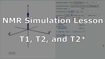 NMR Simulation: T1, T2, and T2*