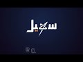 رئيس مجلس القيادة رشاد العليمي يرسم الخط الأحمر : لا طائرات إيرانية في سماء اليمن بعد اليوم