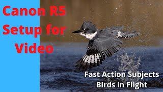 Canon R5 Set up for Video  Birds in Flight