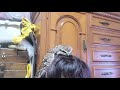 頭で寛ぐフクロウ