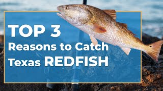 Texas Redfish: An Angler's Guide | FishingBooker