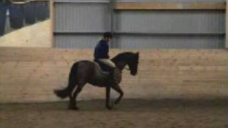 Revy20090120