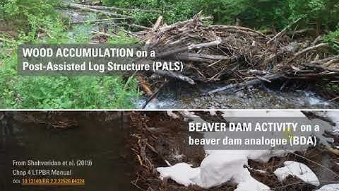 01 J Principles of Low-Tech Restoration
