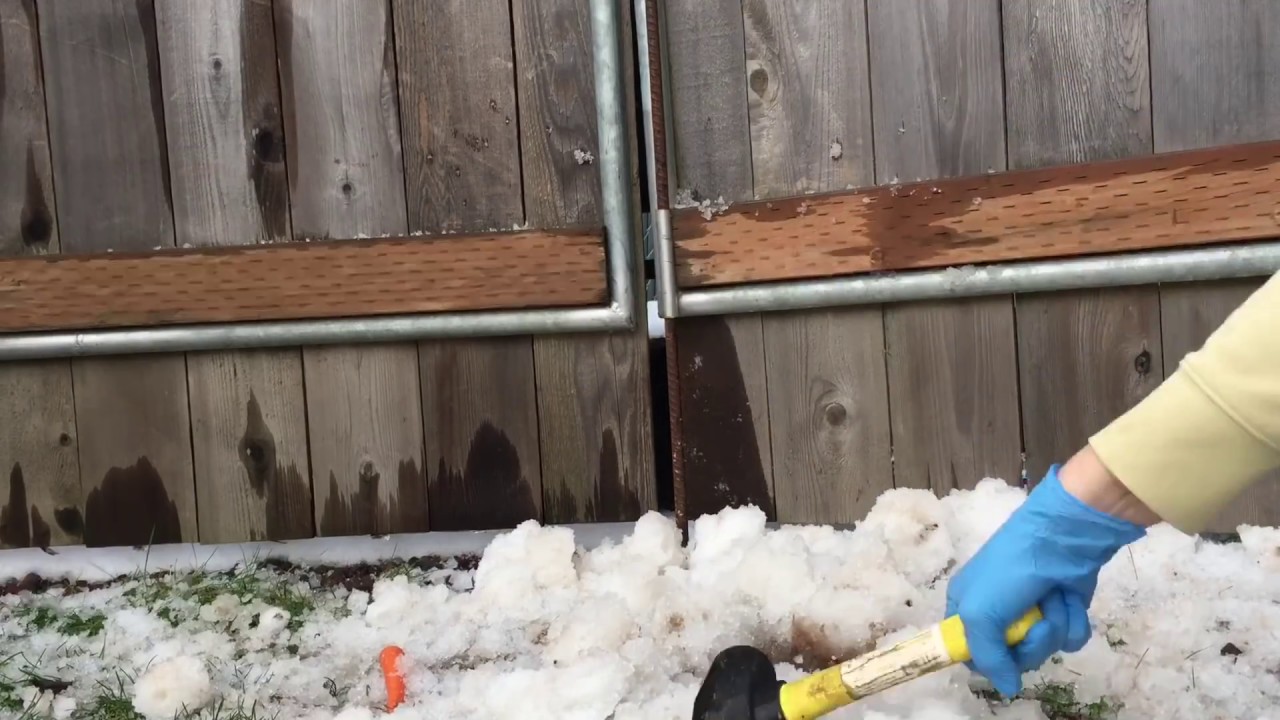 Frosty the Snowman VS Hammer Mallet successful synonym
