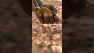 Hadzabe Tribe bushman poses high bush crafting skills to use and build everything from nature