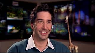 Madagascar Meet The Madagascar Family 50Fps