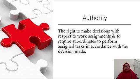 MGT162 Chapter 4 Organizing (Video 2)